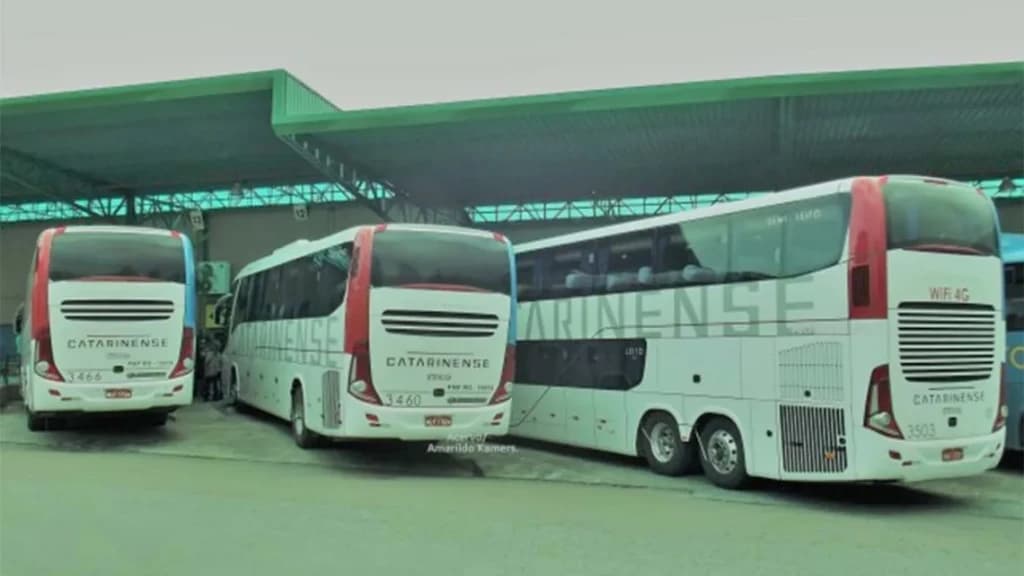 Homem é preso ao se masturbar em ônibus na frente de mãe e filha em SC