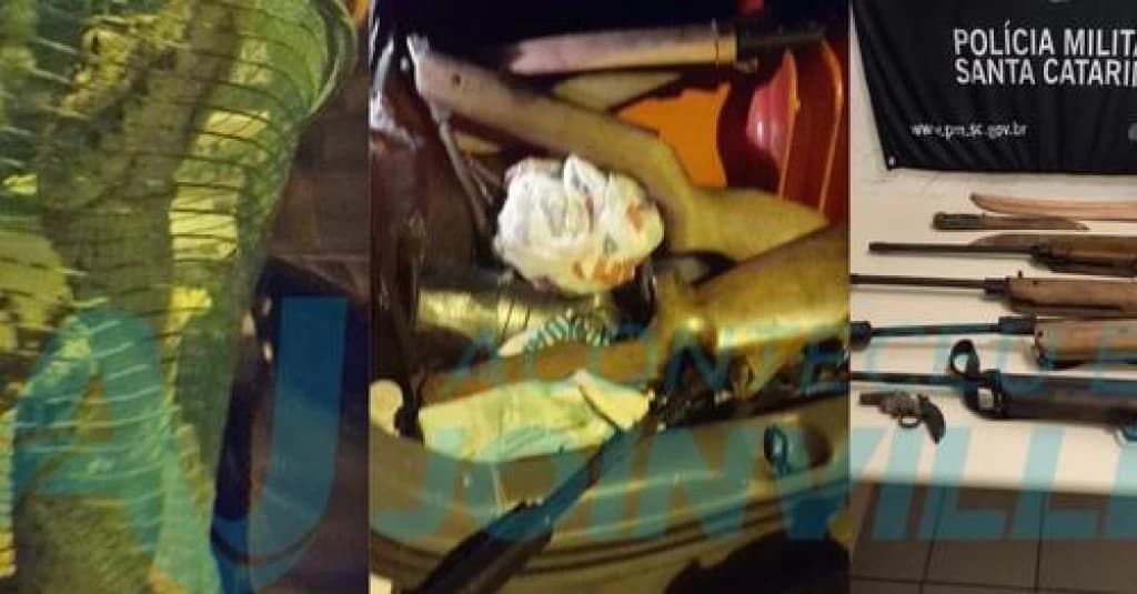 PM encontra armas e jacaré do papo amarelo em quarto de marido violento