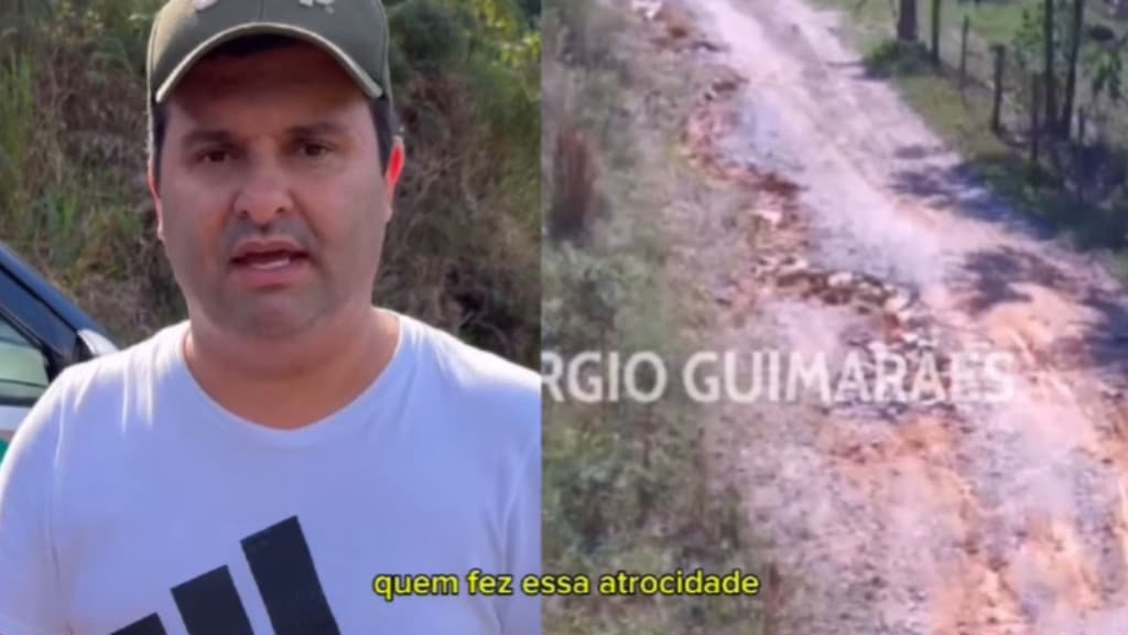 “Não sabia que estava grávida”: genitora é presa após enterrar o próprio filho