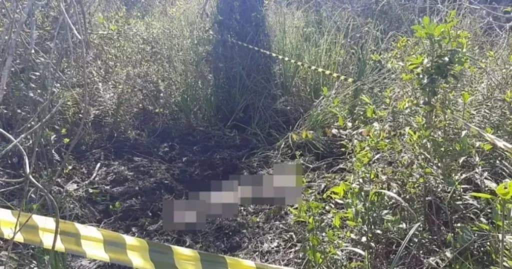 Acusado de decapitar homem com 20 golpes de machado é  condenado em SC