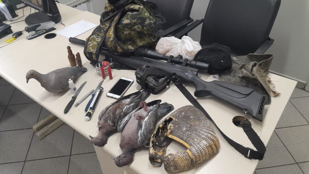 Homem é preso ao ser flagrado com arma e carcaças de animais em SC