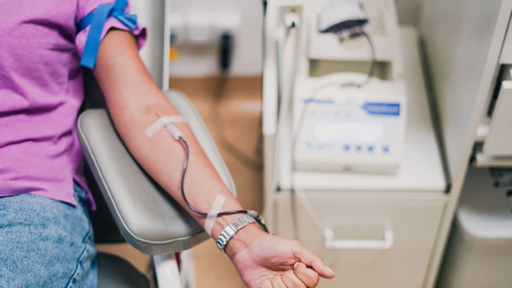 Solidariedade: Hemosc envia ao RS quase 900 bolsas de sangue