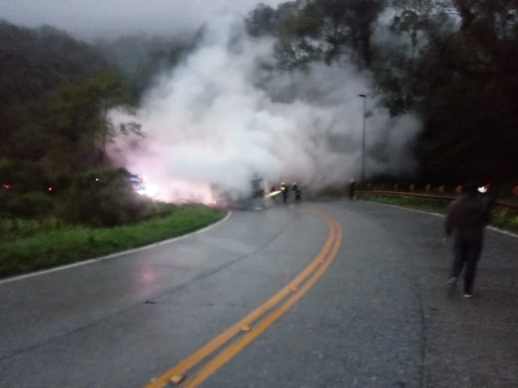 VÍDEO: Cavalos morrem carbonizados após veículo pegar fogo na Serra Dona Francisca