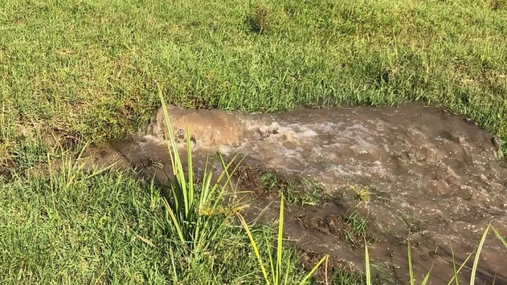 Rompimento de adutora em Porto Belo pode comprometer abastecimento de água
