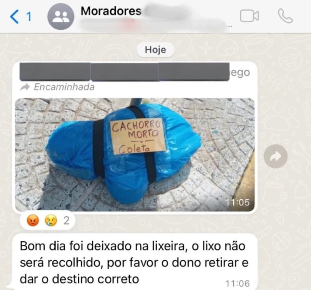 Embalagem com cão morto gera críticas e dúvidas sobre destino correto