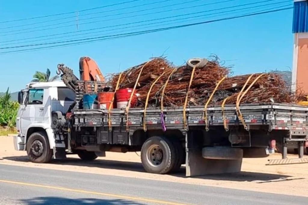 Rapaz de 16 anos é detido ao ser flagrado dirigindo caminhão na SC-410