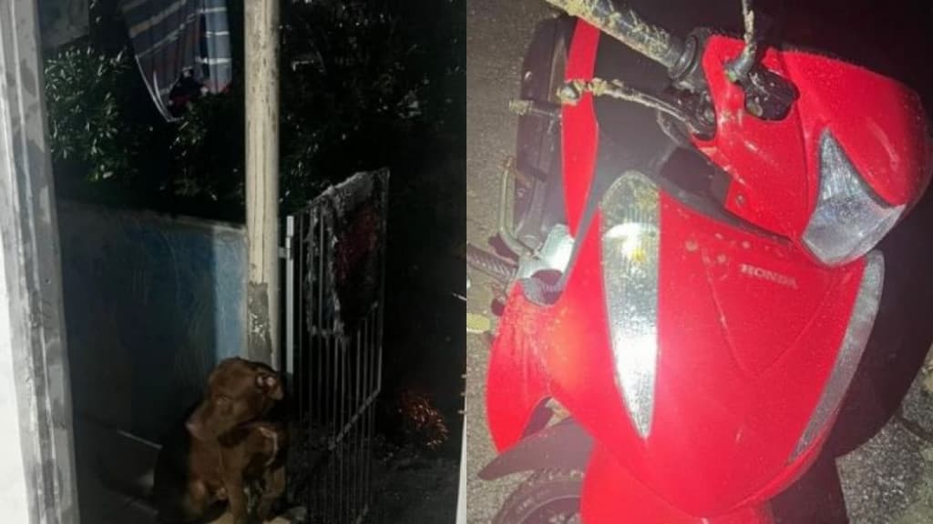Homem revoltado invade trabalho da noiva, quebra tudo e acaba preso em Itajaí