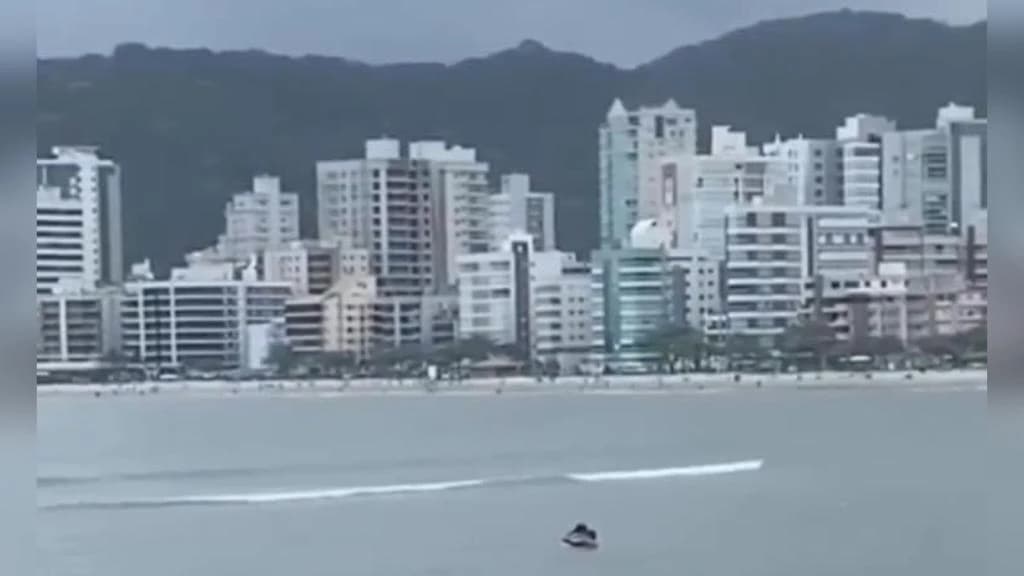 VÍDEO: Casal é flagrado fazendo sexo no Canto da Praia em Itapema