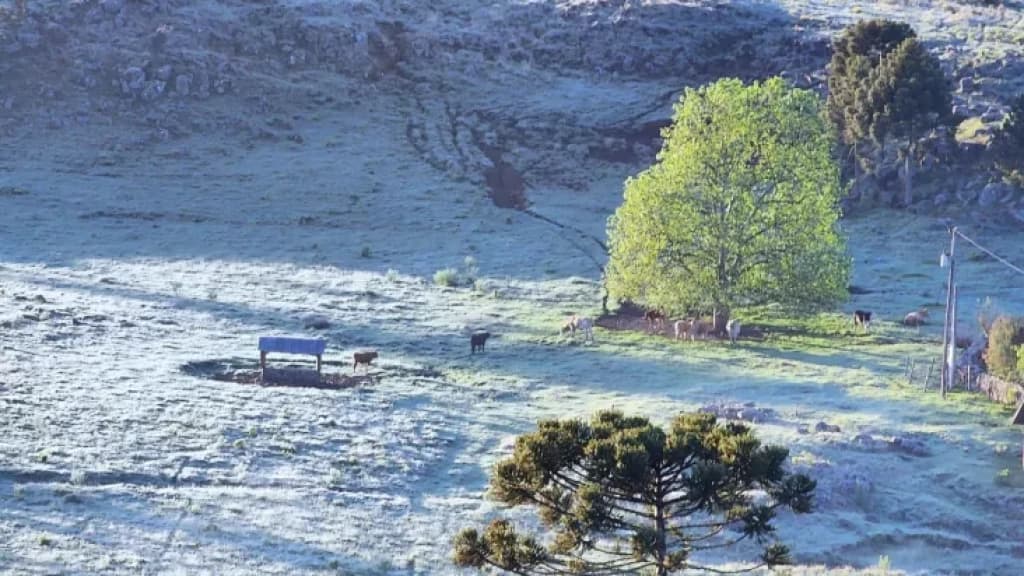 Santa Catarina em alerta: Neve pode ser registrada ainda esta semana