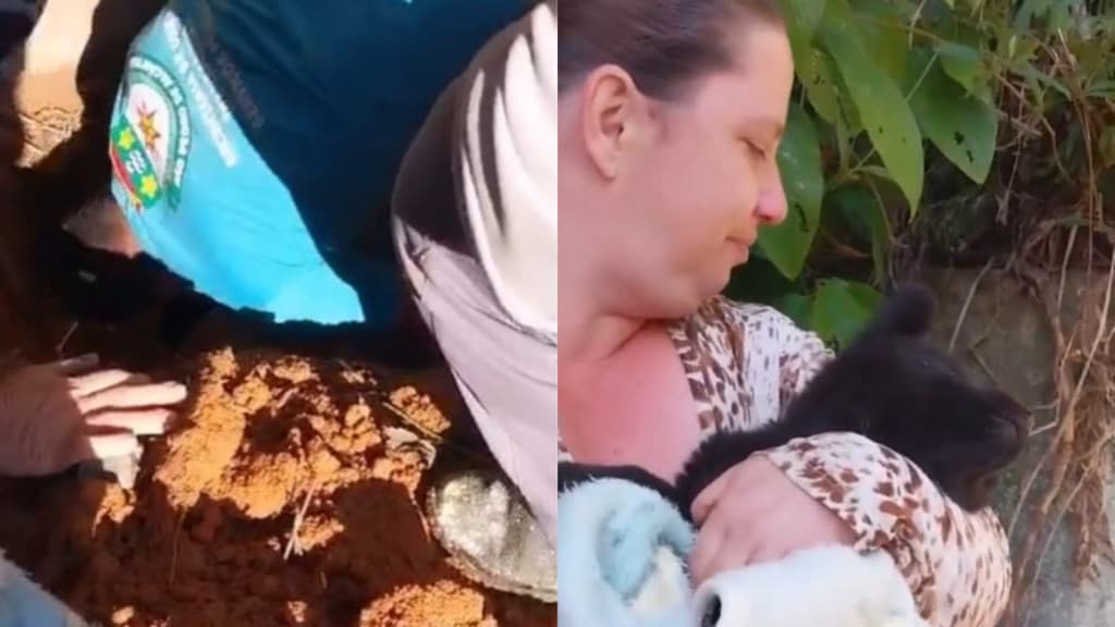 Bombeiros resgatam cãozinho de tubulação e caso emociona