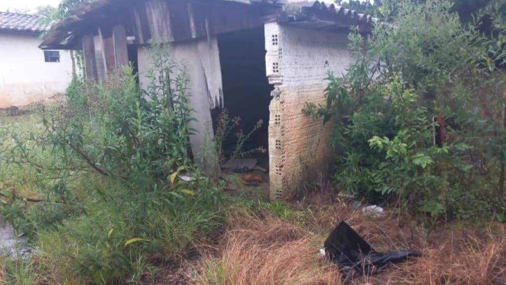 Homem é preso após se masturbar na frente de adolescente usando lingerie e máscara preta