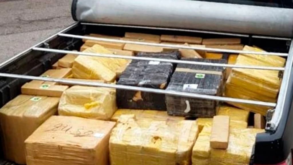 DEU PREJUÍZO: Grande carga de maconha é apreendida na BR-101