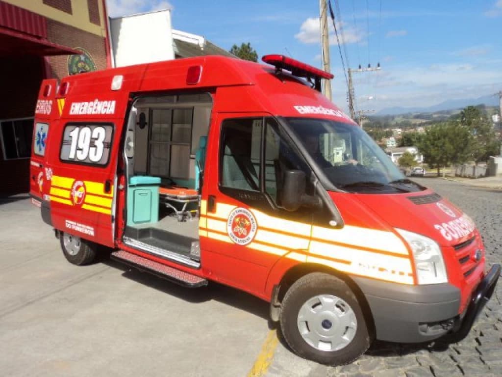 Grávida e familiares são atacados por enxame de vespas