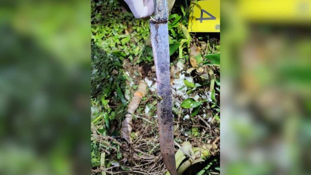 Menina de seis anos presencia mãe sendo morta a facadas por vizinho em SC