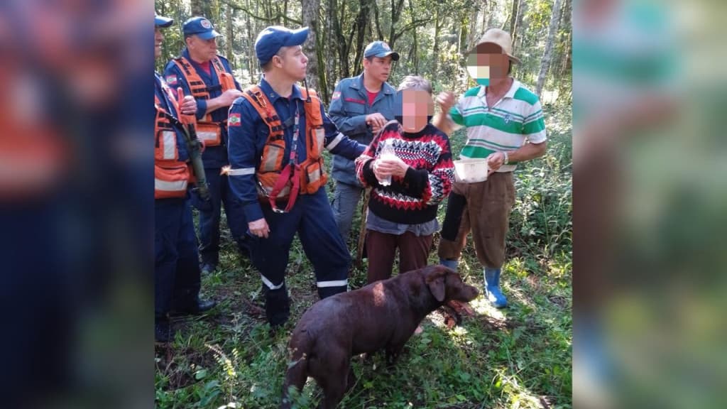 Idosa de 65 anos se perde em área de mata após sair para colher pinhão em SC