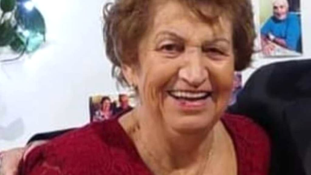 Ex-genro mata idosa e fere ex-mulher com facão