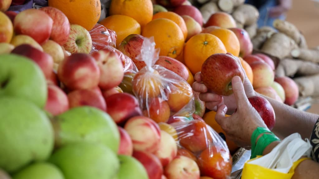 Santa Catarina lidera em segurança alimentar e igualdade de renda no Brasil