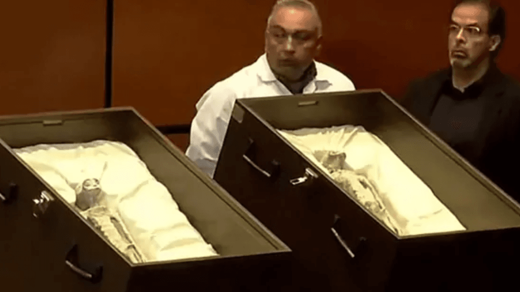 Alienígenas mortos são exibidos em sessão política internacional