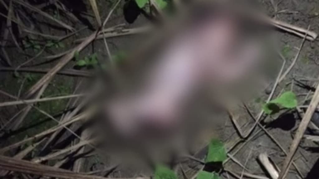 Bebê encontrado morto em terreno baldio foi abandonado vivo