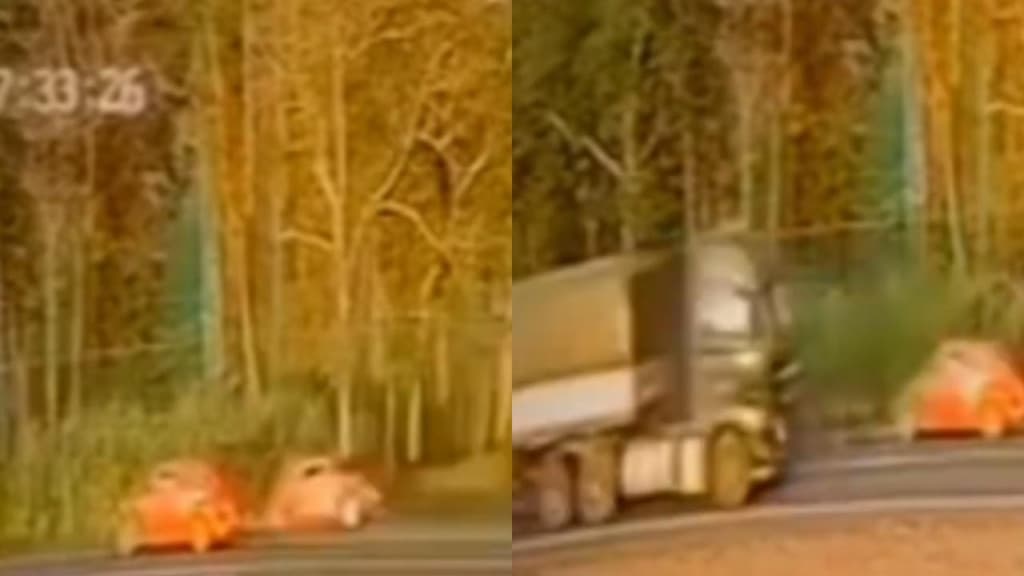 Irmãos gêmeos? Fuscas laranjas surpreendem em rodovia de SC