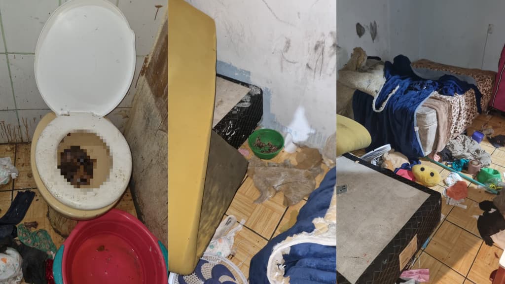 Crianças resgatadas em condições deploráveis; mãe é presa