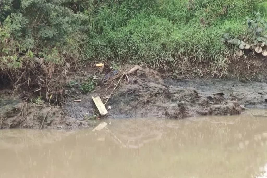 Homem encontrado morto em mangue de SC tem identidade divulgada