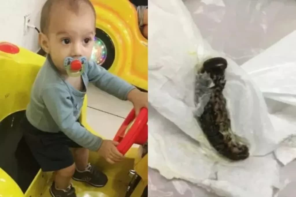 Bebê de 7 meses passa mal e morre após engolir lagarta
