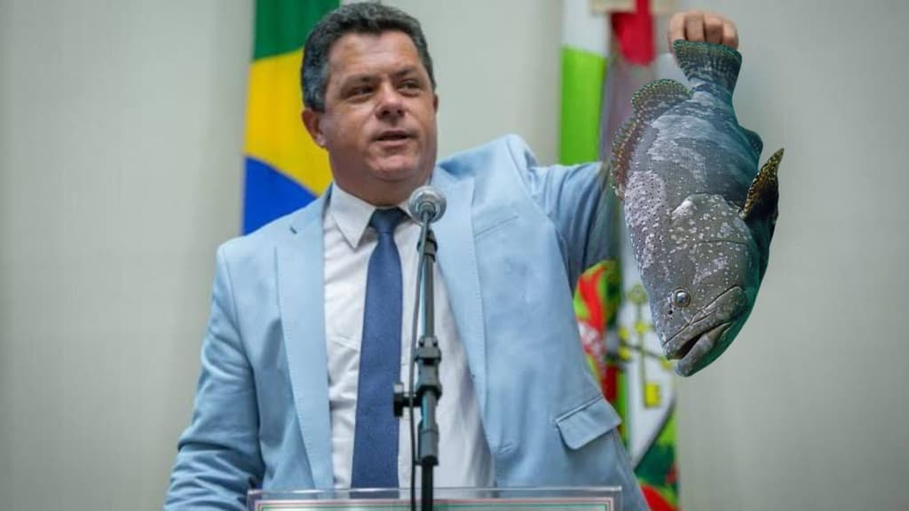 Deputado quer proibir peixe em SC: “não pode comer nem pescar garoupas”