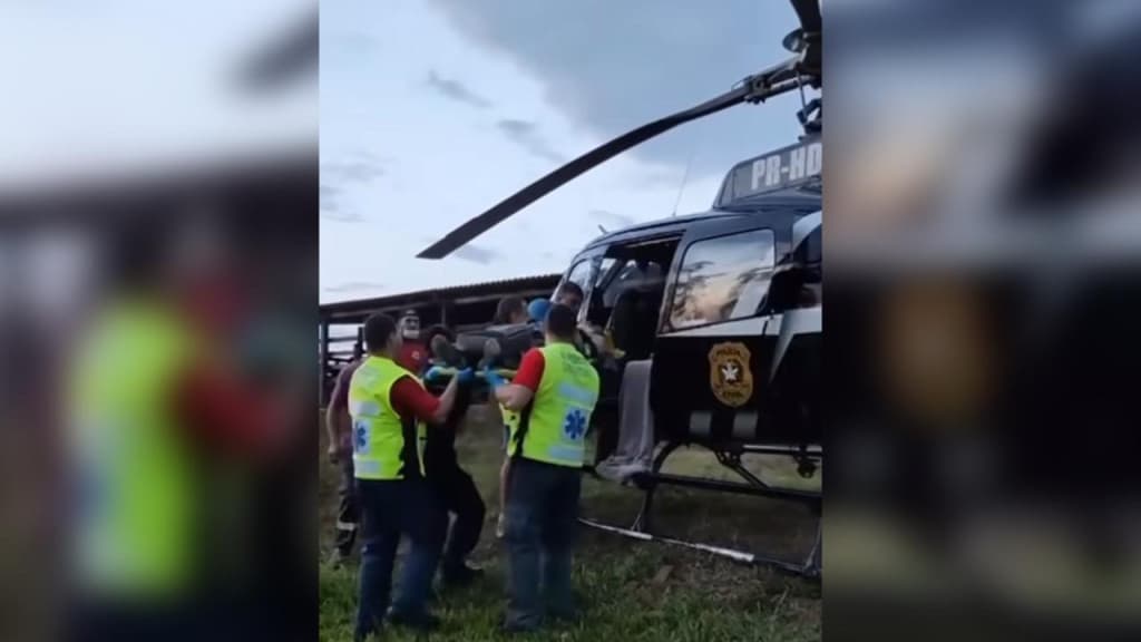 Agricultor é socorrido após ser atacado por uma vaca