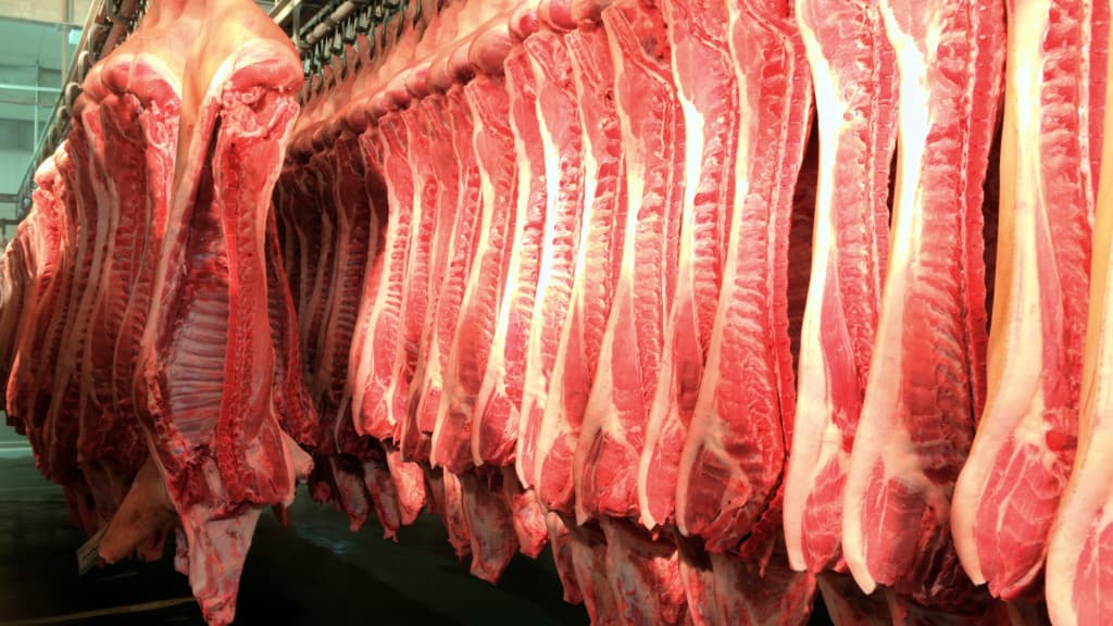 Exportação catarinense de carne suína bate recorde em agosto