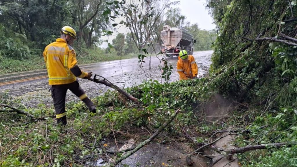 Chuva e rajadas de vento de 90km/h causa estragos no Oeste e Extremo-Oeste de SC