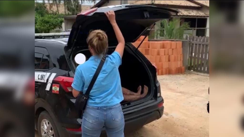Investigações por furto revelam foragida por tentativa de homicídio