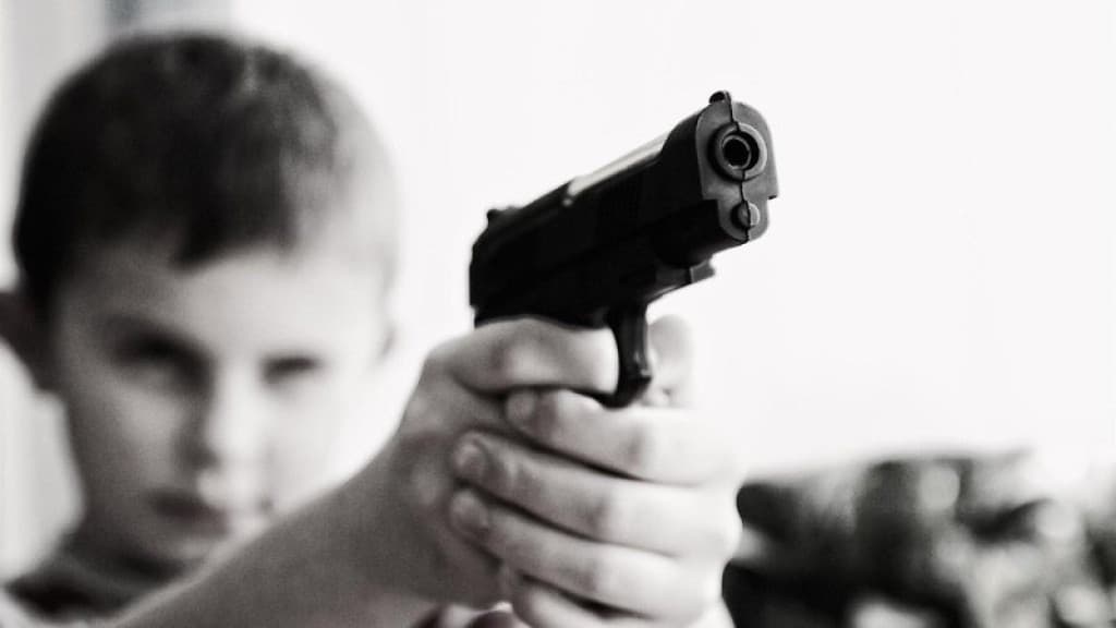 Adolescente de Florianópolis é reinternado após ameaçar massacre escolar