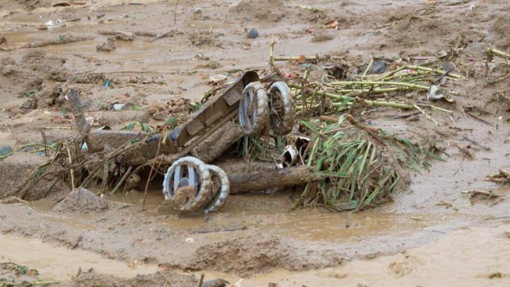 Objetos de enchente de 2008 são encontrados após deslizamento de terra, em Blumenau