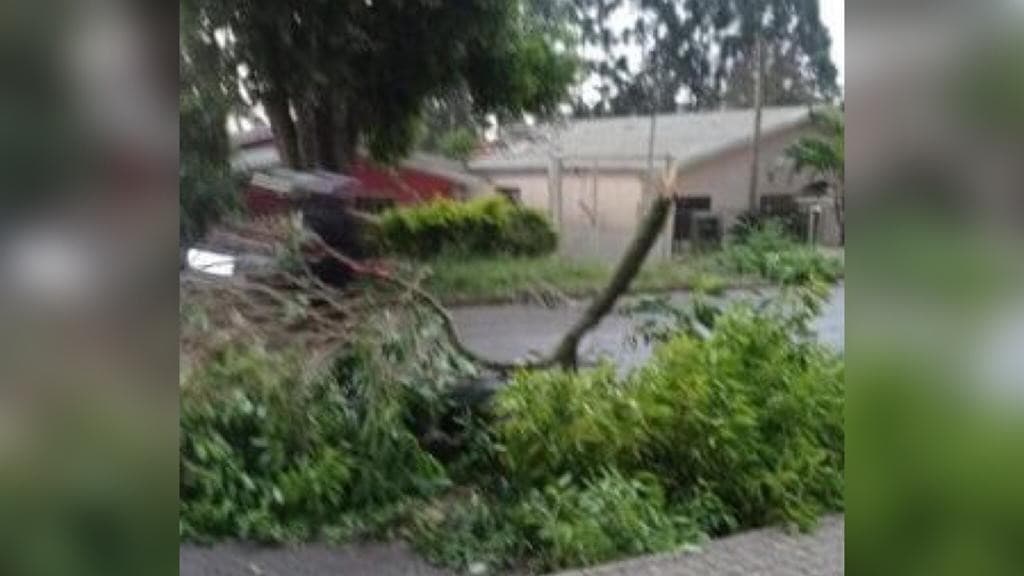 Motociclista é atingida por galhos de árvore na cabeça durante forte chuva