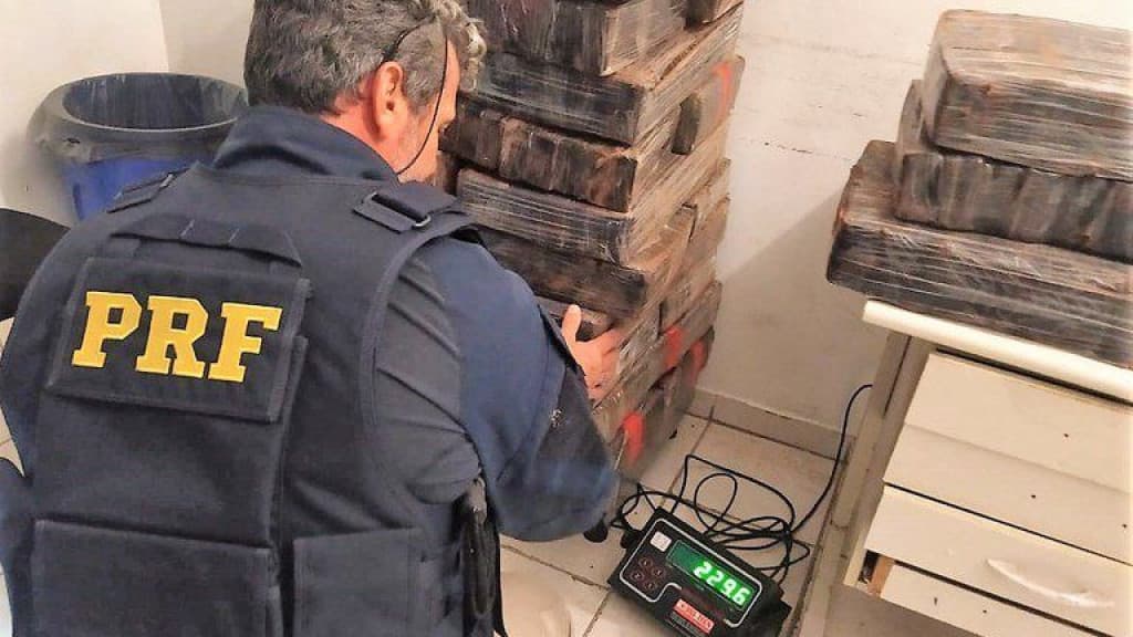 Pai e filho são presos com mais de 450 quilos de maconha