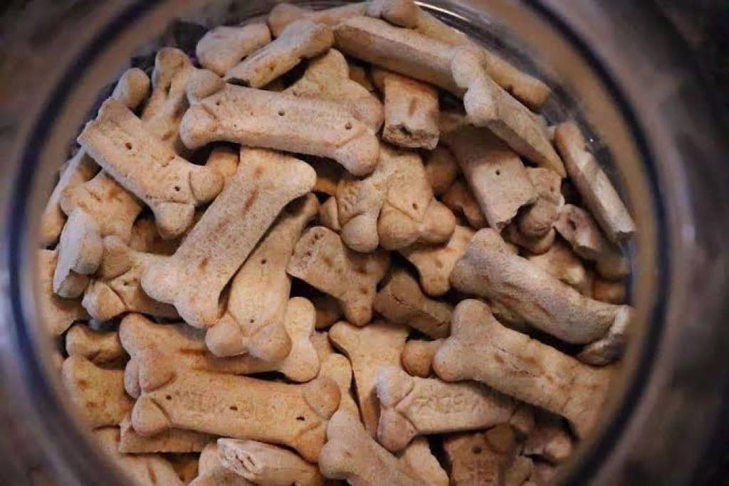 Governo manda recolher petiscos para cães suspeitos de contaminação