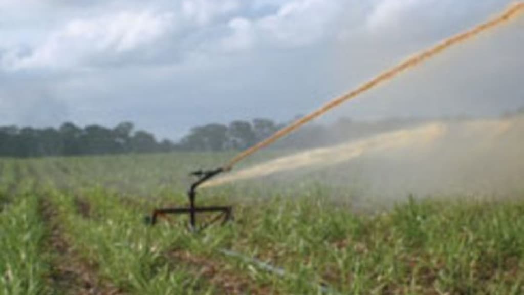 Brasil avança na agricultura sustentável com inovação dos fertilizantes marinhos