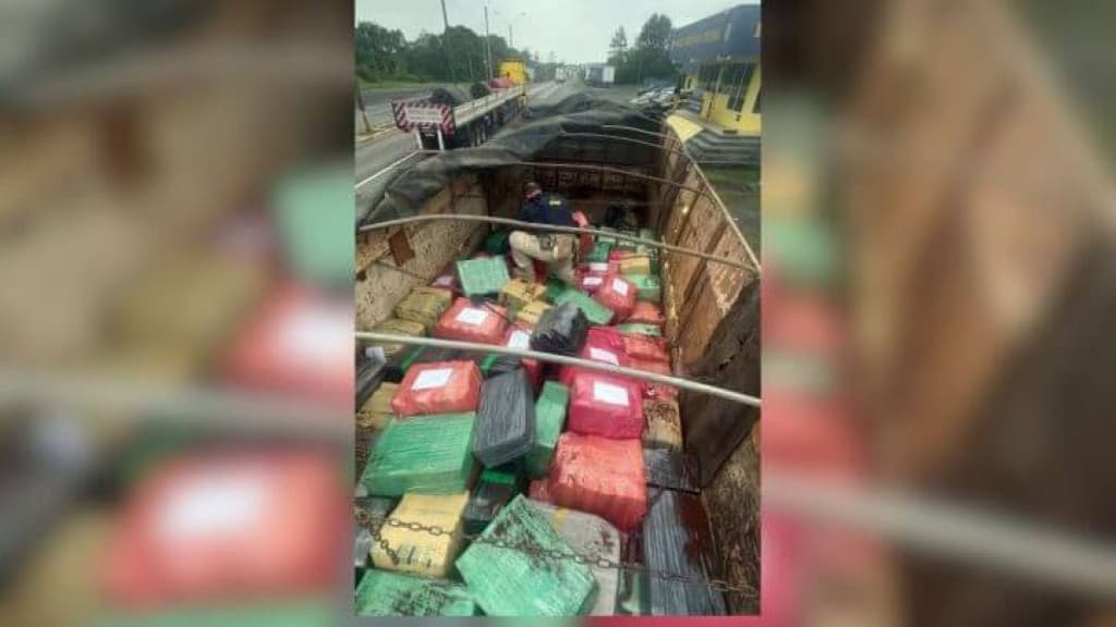 PRF encontra R$ 15 milhões em drogas em carga de caminhão na BR-101