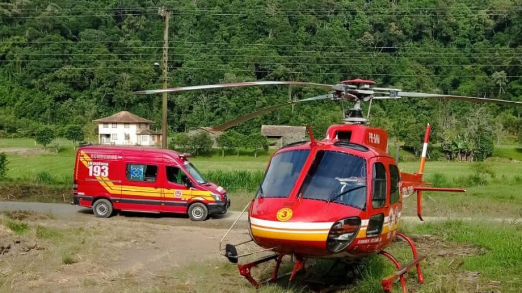 Homem morre após ser atingido por árvore na cabeça