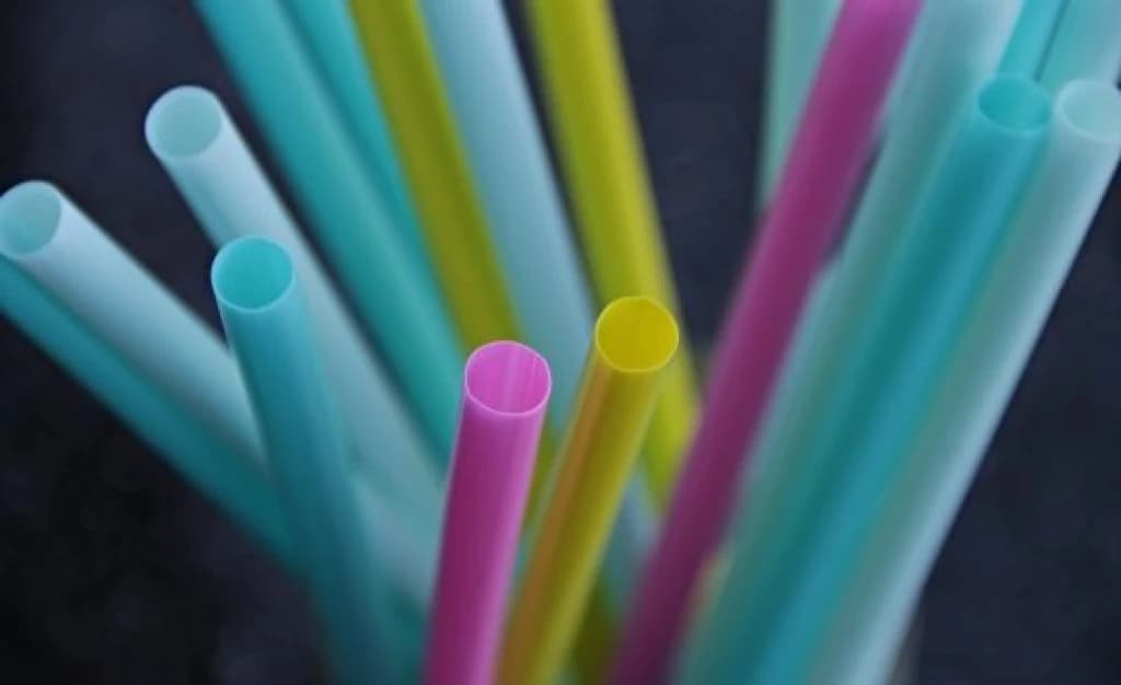 SUSTENTABILIDADE: Bombinhas proíbe venda de canudos, sacolas e itens descartáveis
