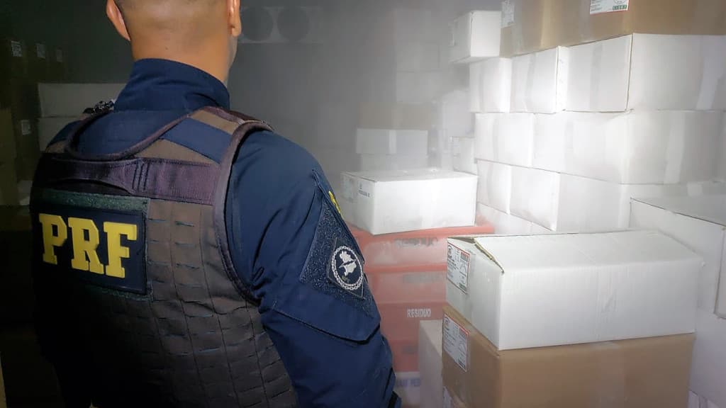 PRF apreende 4 toneladas de camarão contrabandeado na BR-101