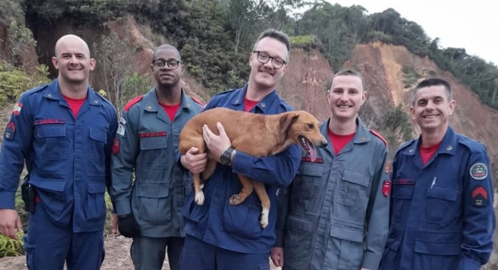 Cachorro fica preso em pedreira e mobiliza Corpo de Bombeiros em SC