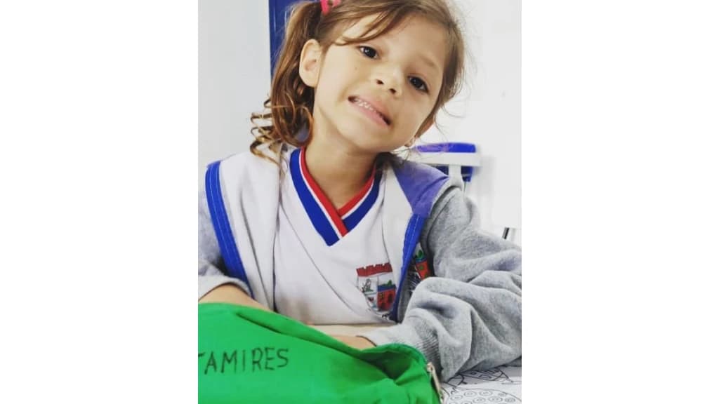 Criança de 5 anos morre após ser atingida por estrutura de balanço em SC