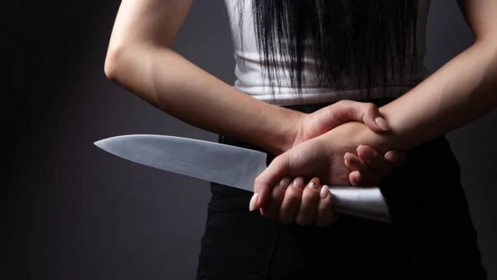 Adolescente é esfaqueado no peito por “amiga” de escola em SC
