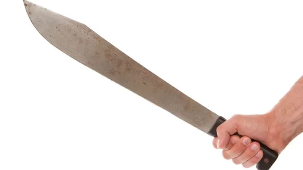 Discussão acaba com mulher golpeando marido com facão em SC