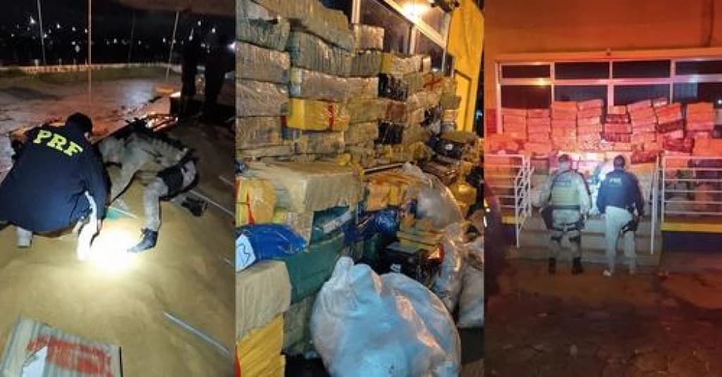 Três toneladas de drogas são apreendidas na BR-101 em carga de farelo de milho