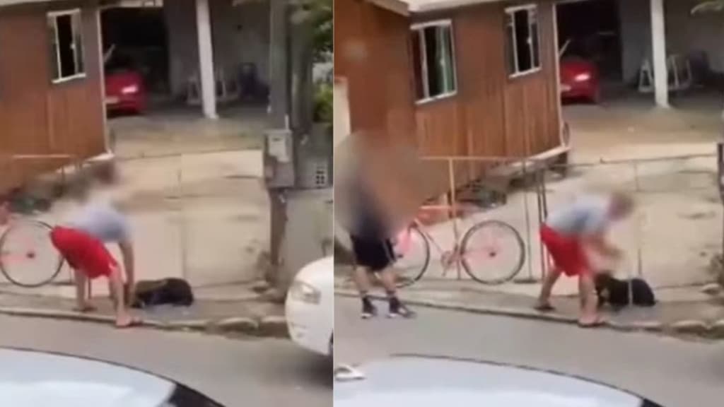 VÍDEO: Tutor é preso após espancar pitbull em Camboriú; animal foi resgatado