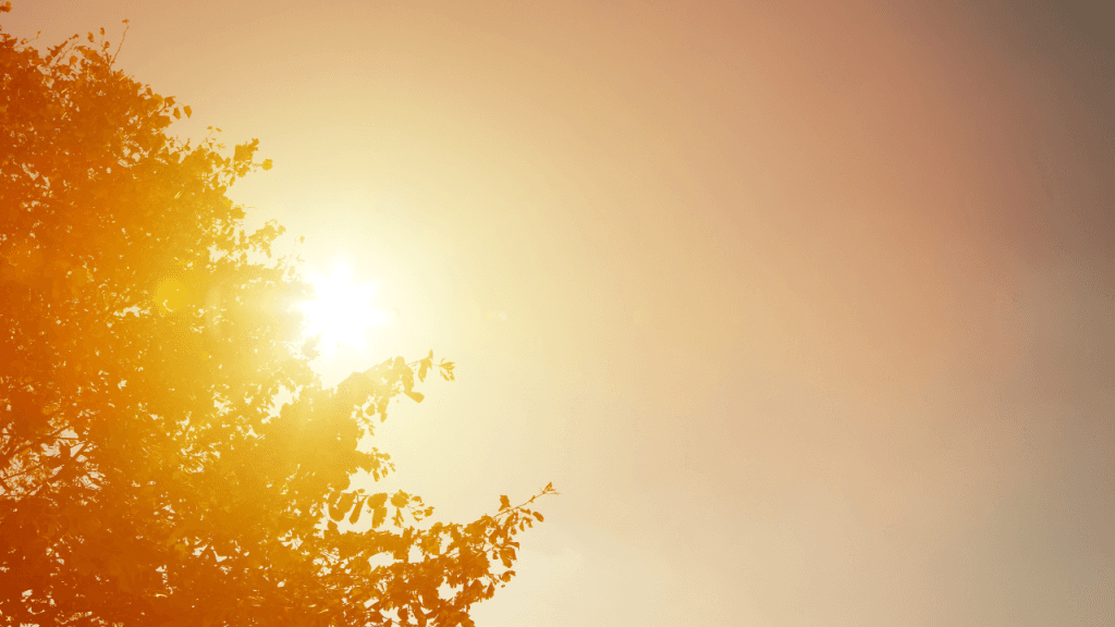 Massa de ar quente promete temperaturas de quase 40ºC nesta terça (22)