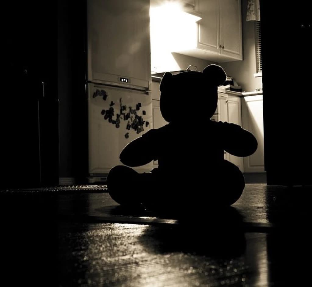 Mãe “vendia” a própria filha de 9 anos para estupradores, em SC